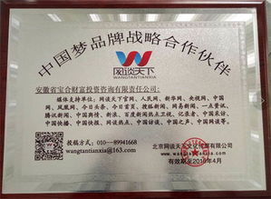 宝合财富携手网谈天下 共筑中国梦投资咨询新篇章